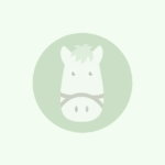 東京スポーツ杯2歳ステークス – 競馬のおはなし