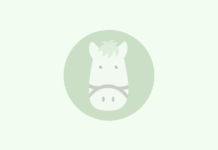 東京スポーツ杯2歳ステークス – 競馬のおはなし